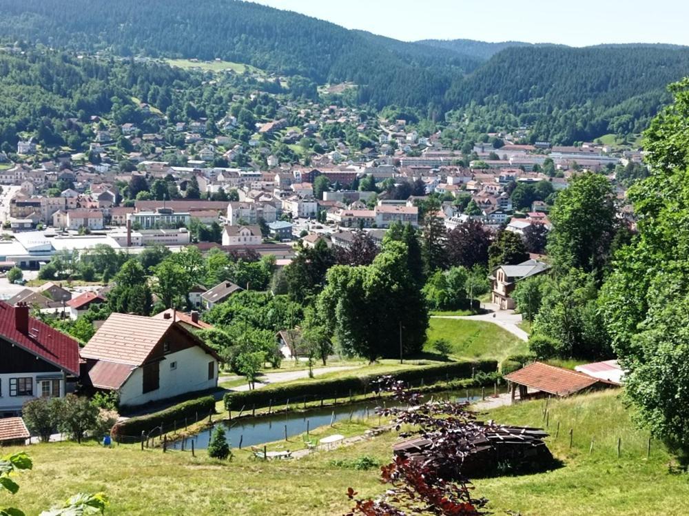 Chalet De Standing 14 Personnes Жерарме Экстерьер фото
